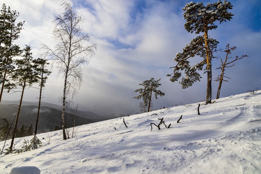 Фотография автора Каргин Валерий