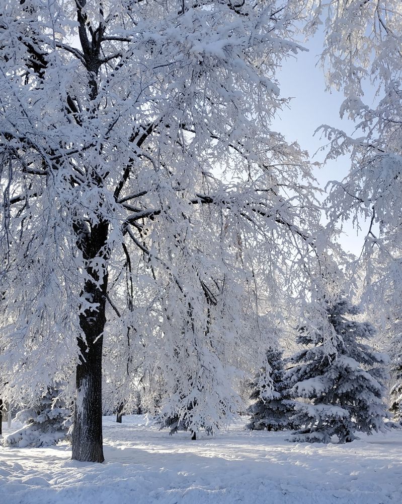 Photograph by Elena Bogomolova