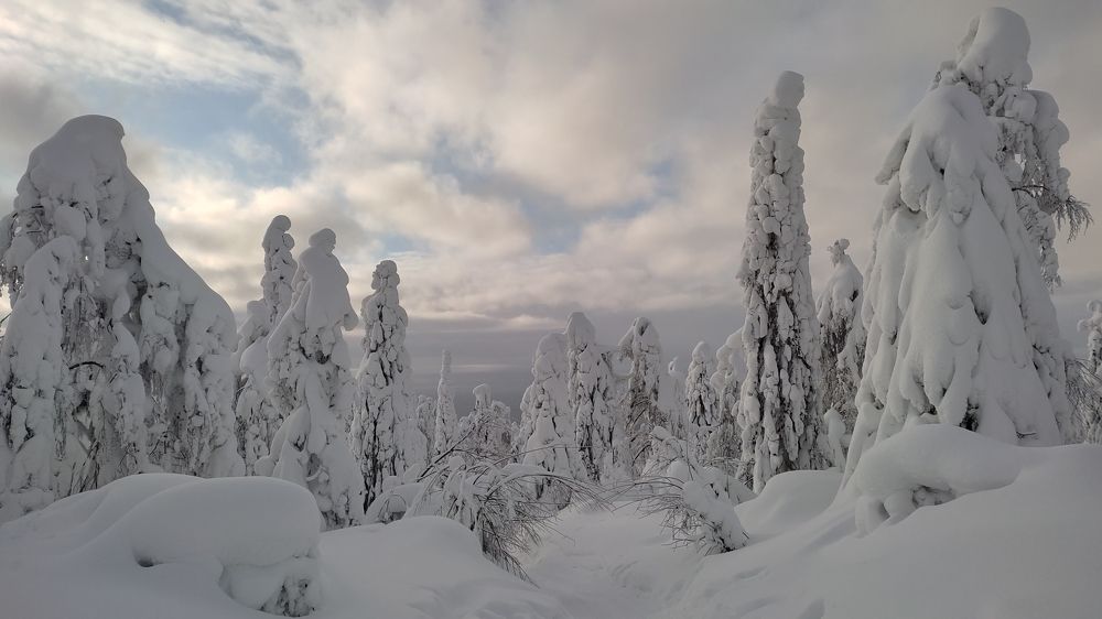 Фотография автора Александр Лукин