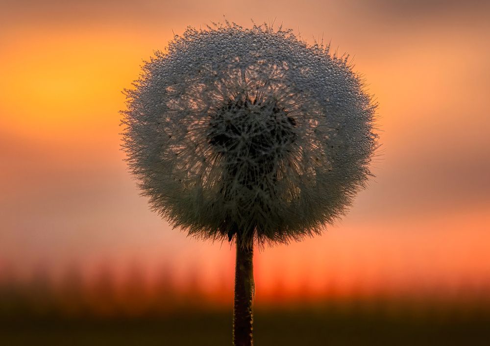 Photograph by Aleš Maučec