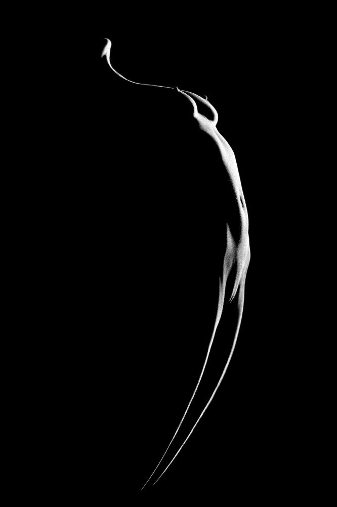 Photograph by Laurent RINGEVAL