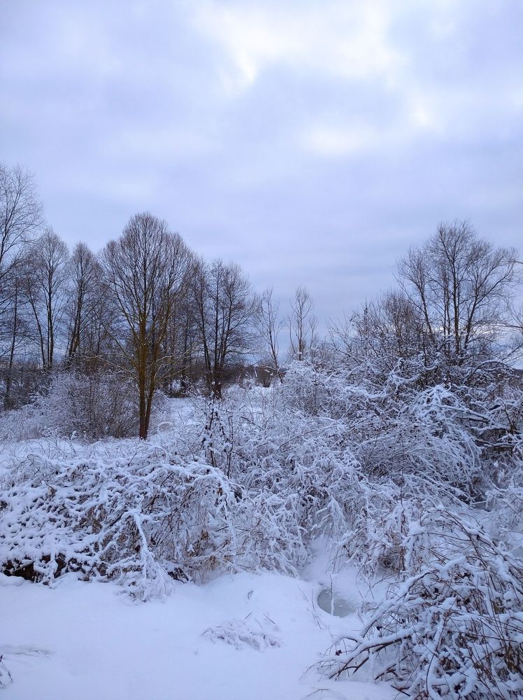 Photograph by Елена Коробченко