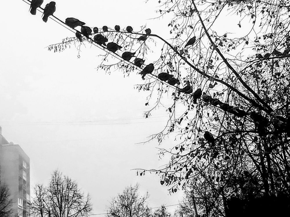 Photograph by Irina Mihailovskaya