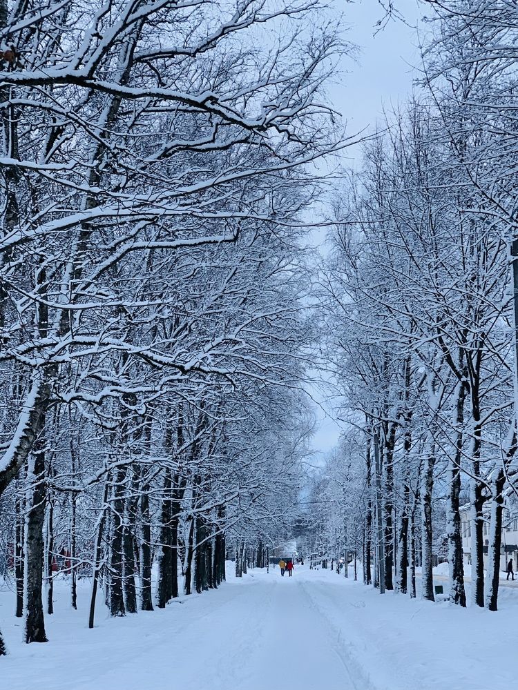 Photograph by Елена Сторожева