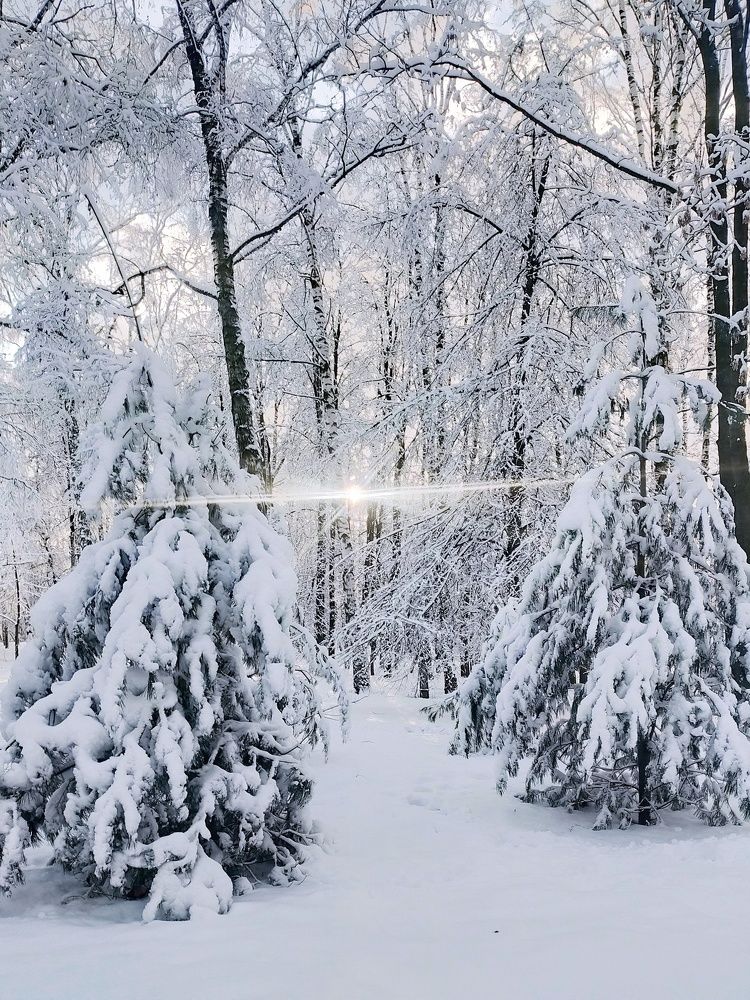 Photograph by Ольга Мартьянова