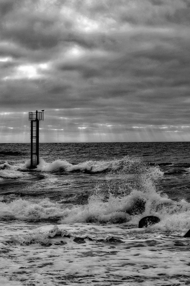 Photograph by Nathalie Le Corff