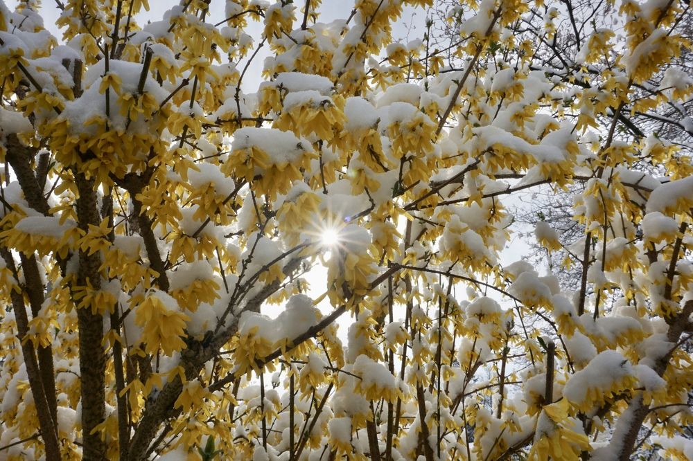 Фотография автора Liudmila Kiermeier