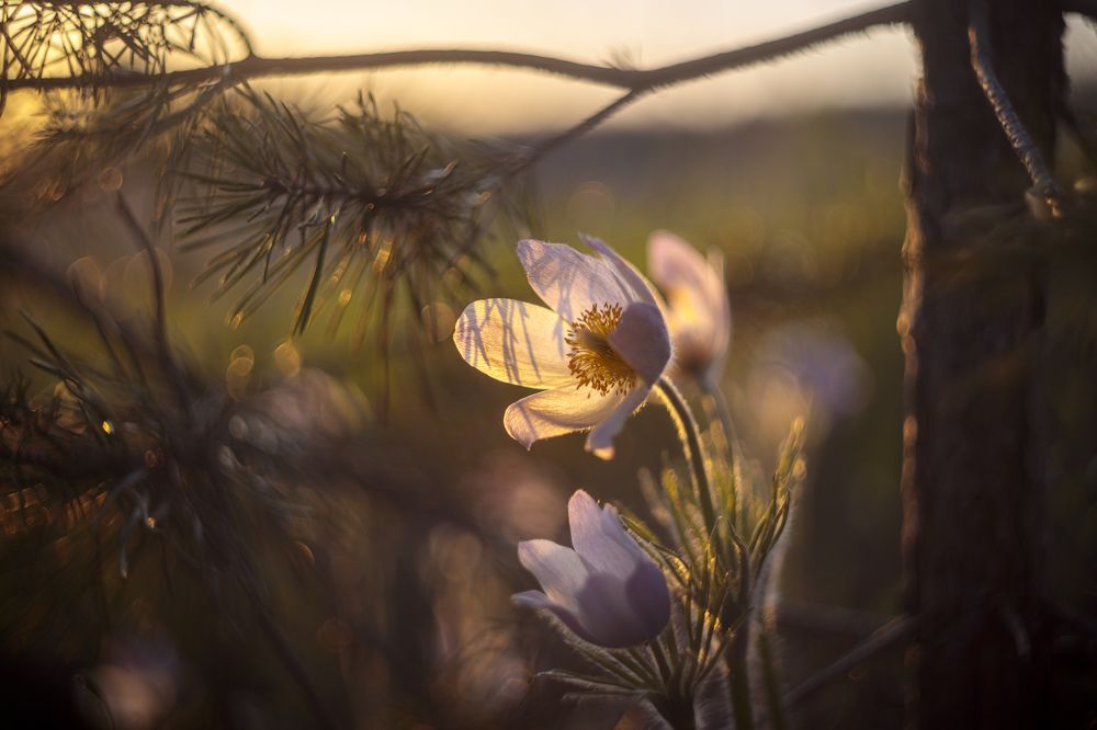 Photograph by Efremenko Nikita