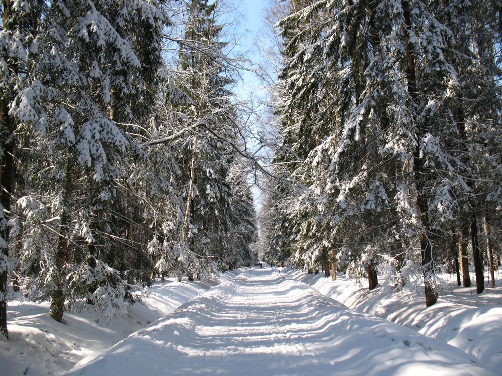 Солнечный день