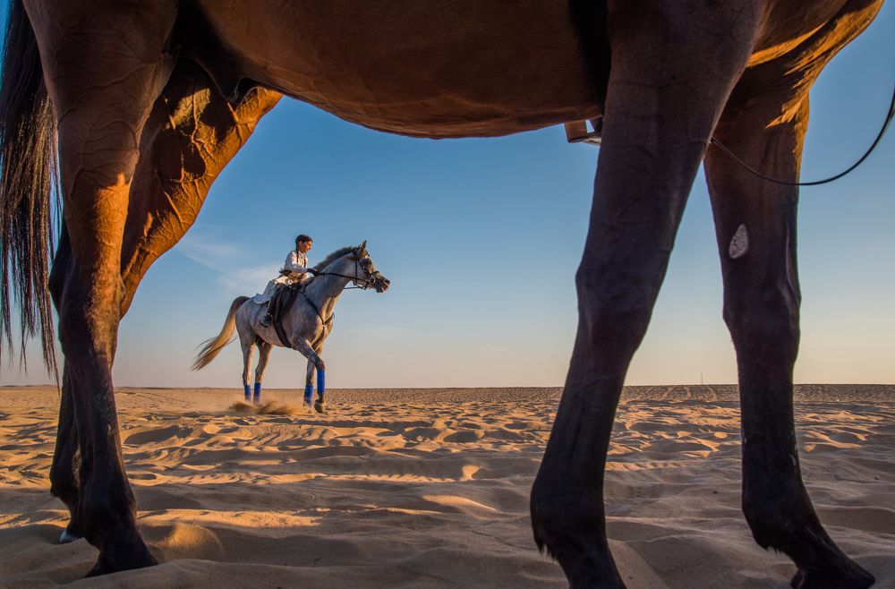 Photograph by Syeda Fahamida