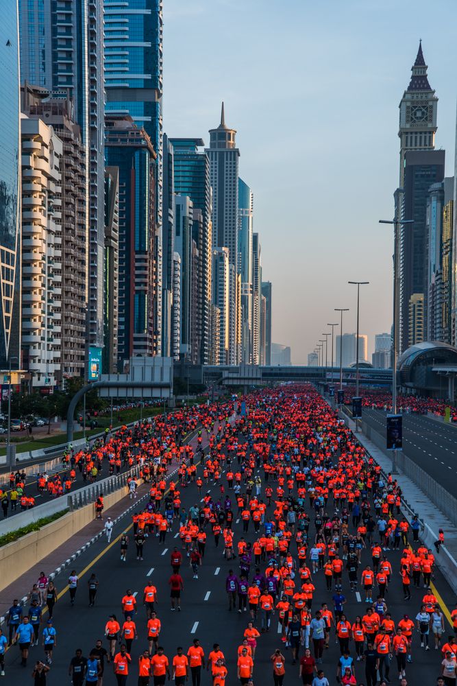 Фотография автора Syeda Fahamida