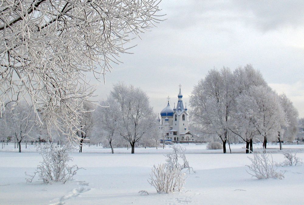 Морозный день