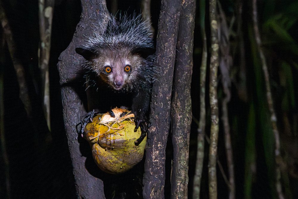 Photograph by Марина Маликова