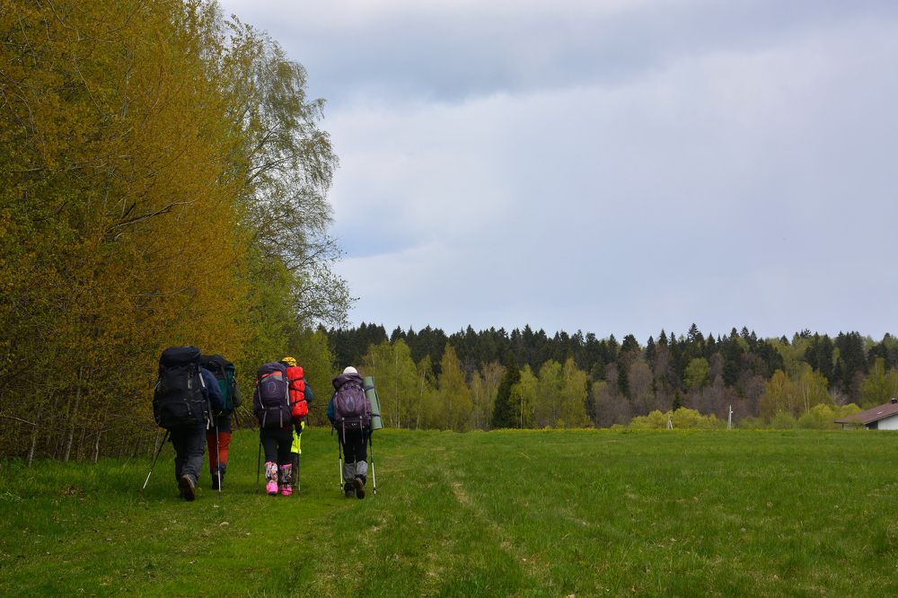 Photograph by Анатолий Орлов