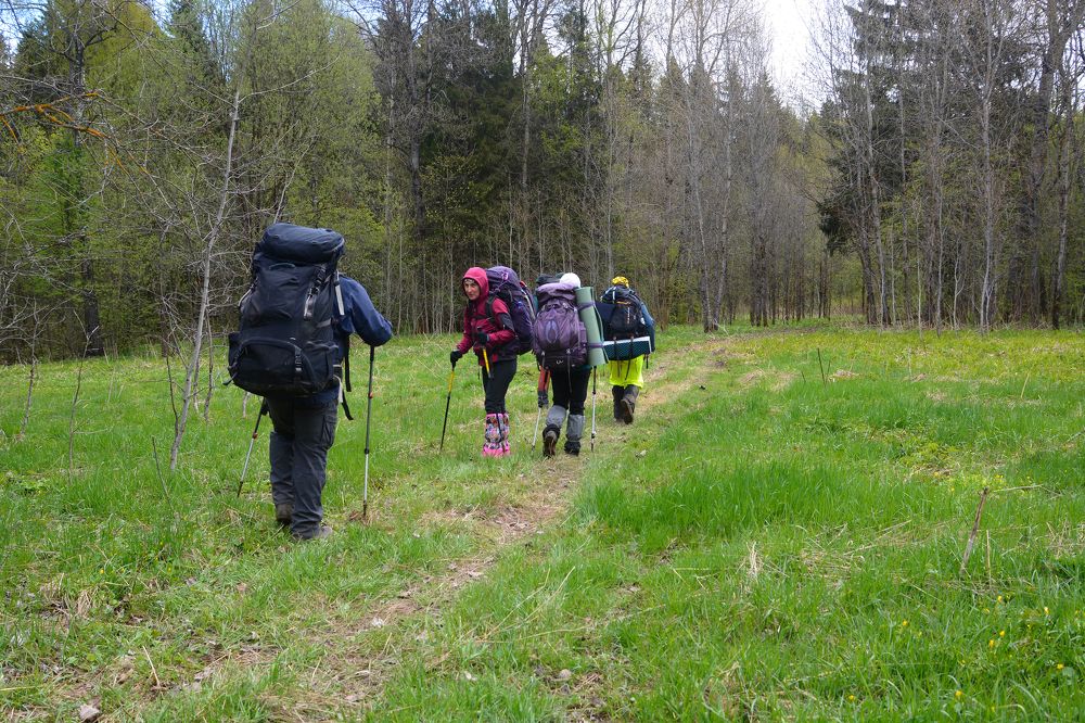 Photograph by Анатолий Орлов