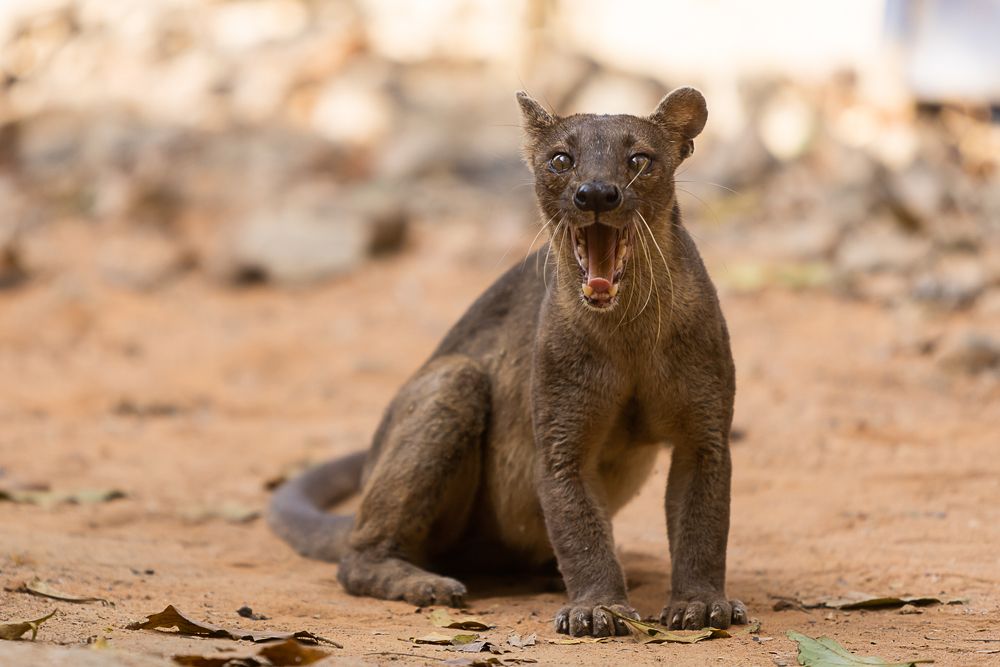 Photograph by Марина Маликова