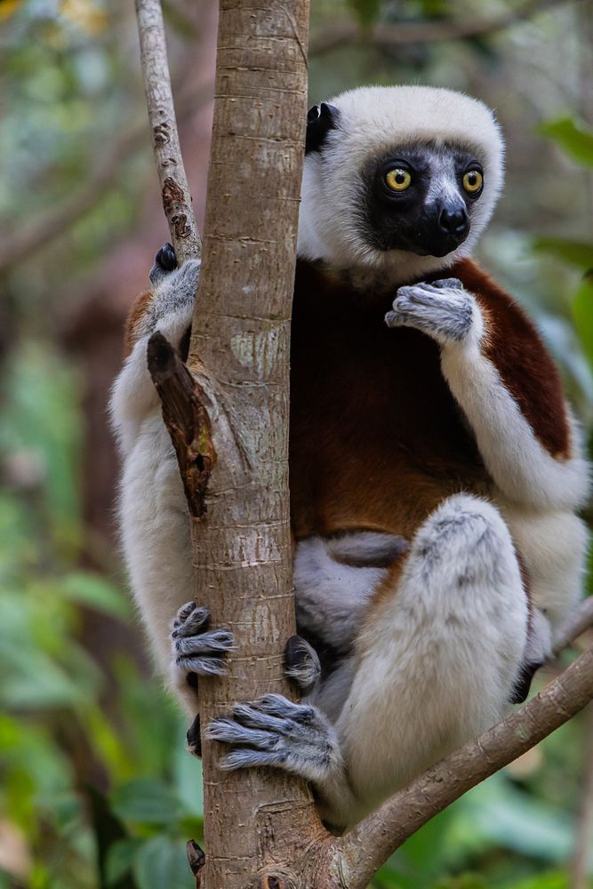 Photograph by Марина Маликова