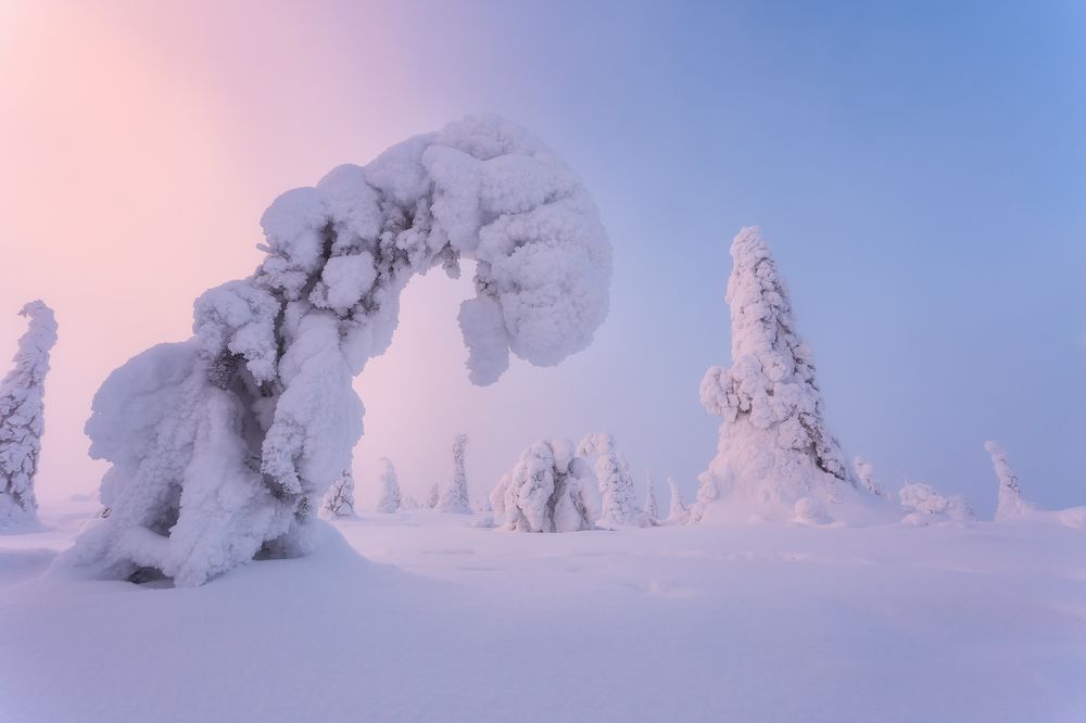 Photograph by Александр Пашеничев