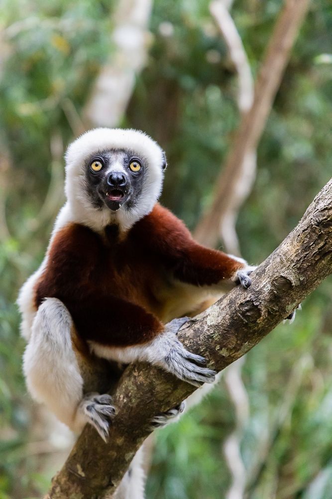 Photograph by Марина Маликова