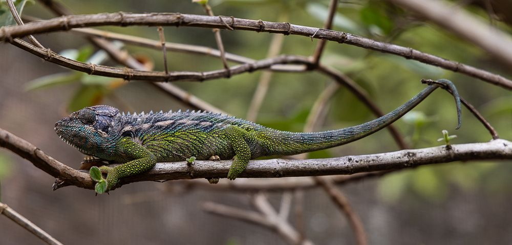Photograph by Марина Маликова