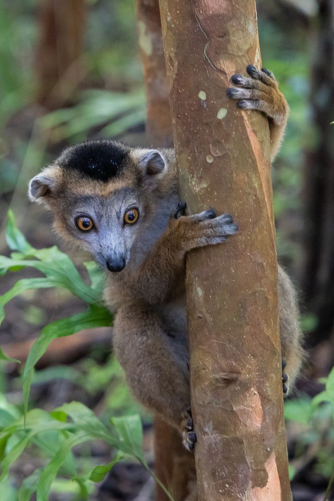 Photograph by Марина Маликова