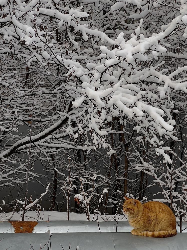 Photograph by Елена Берсенева