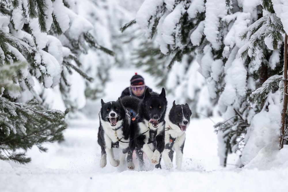 Photograph by Илья Юфа