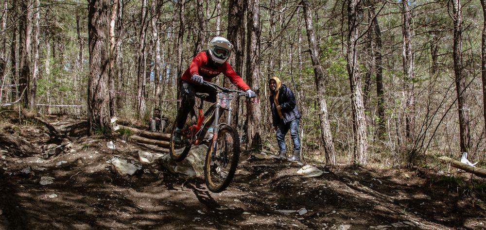 Фотография автора Мария Гомолко