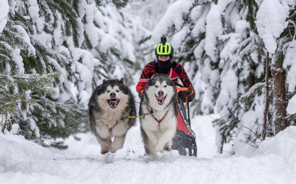 Photograph by Илья Юфа