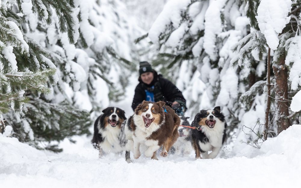 Photograph by Илья Юфа