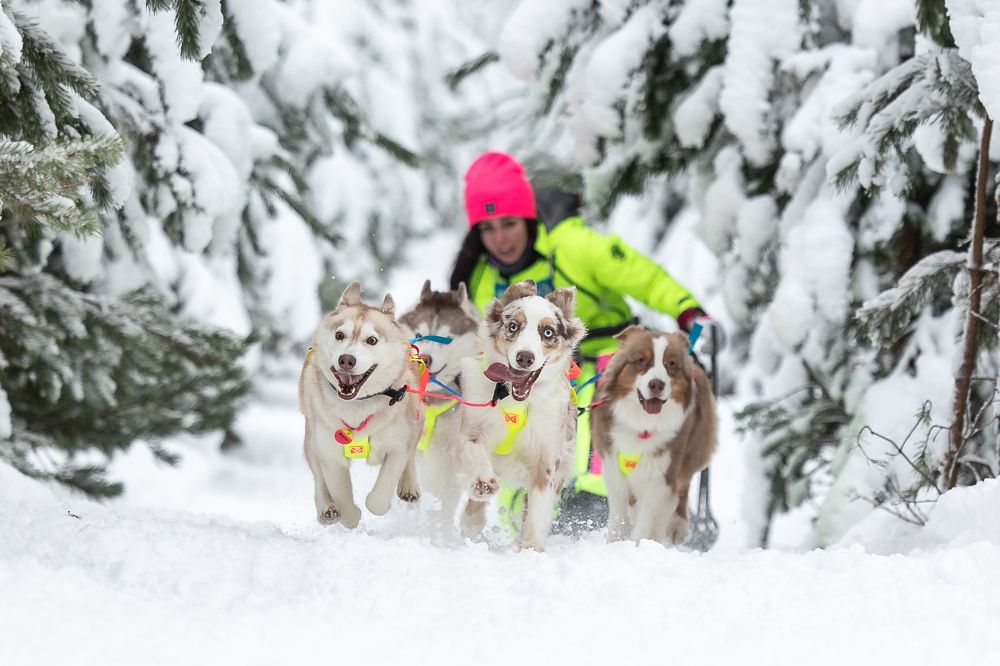 Photograph by Илья Юфа