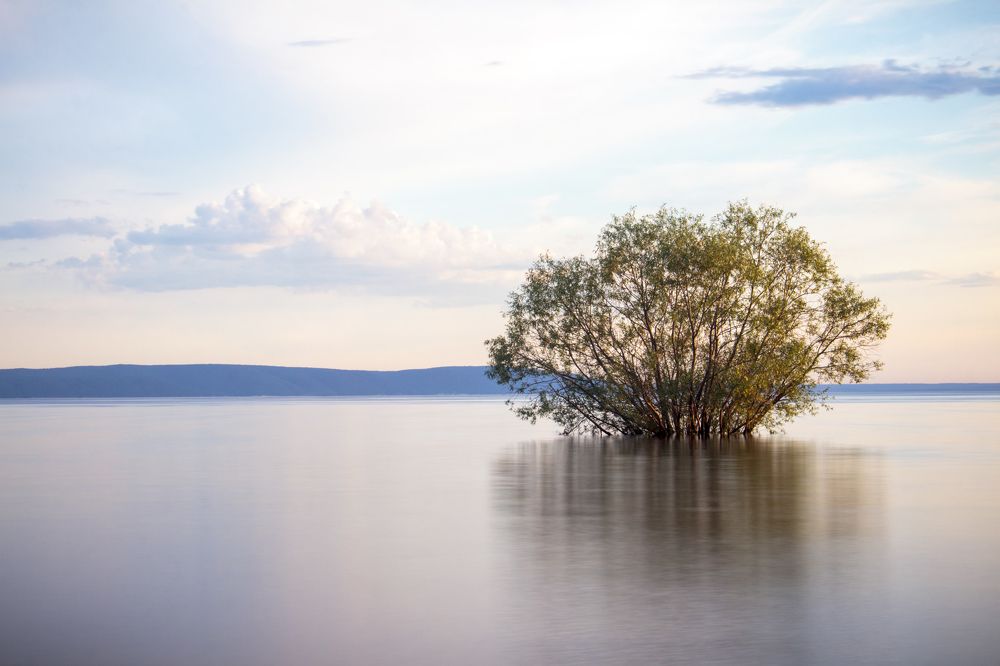 Photograph by Efremenko Nikita