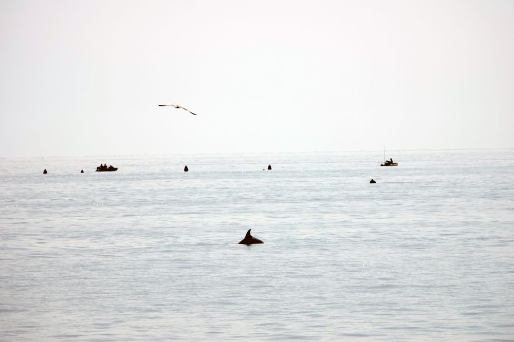 Photograph by Светлана Соболева