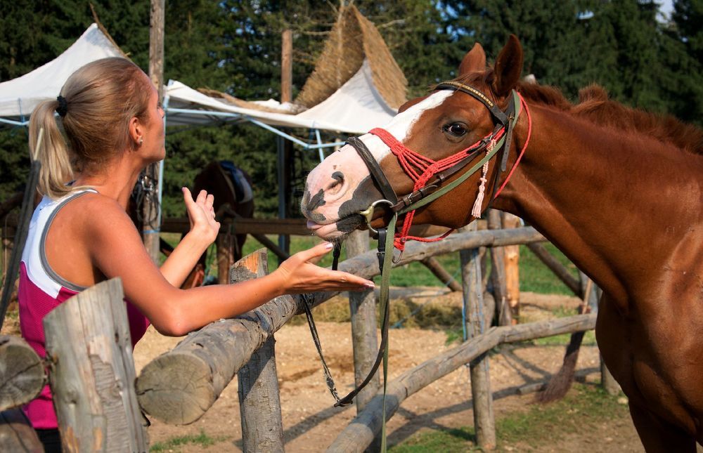 Photograph by Stoyan Baev