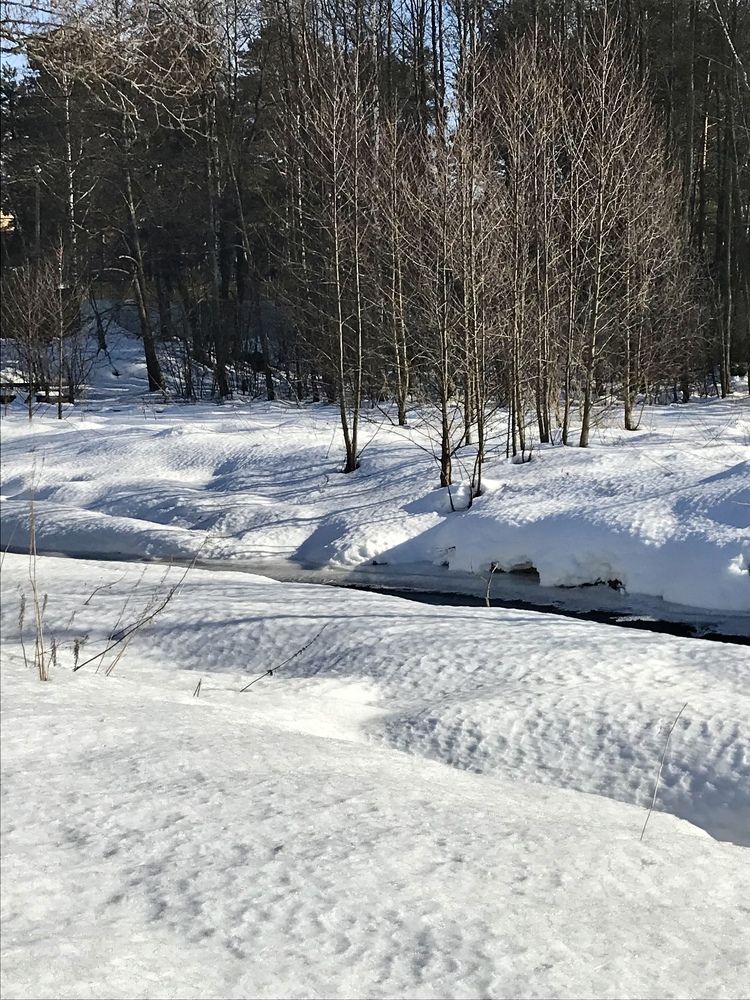 Photograph by Надежда