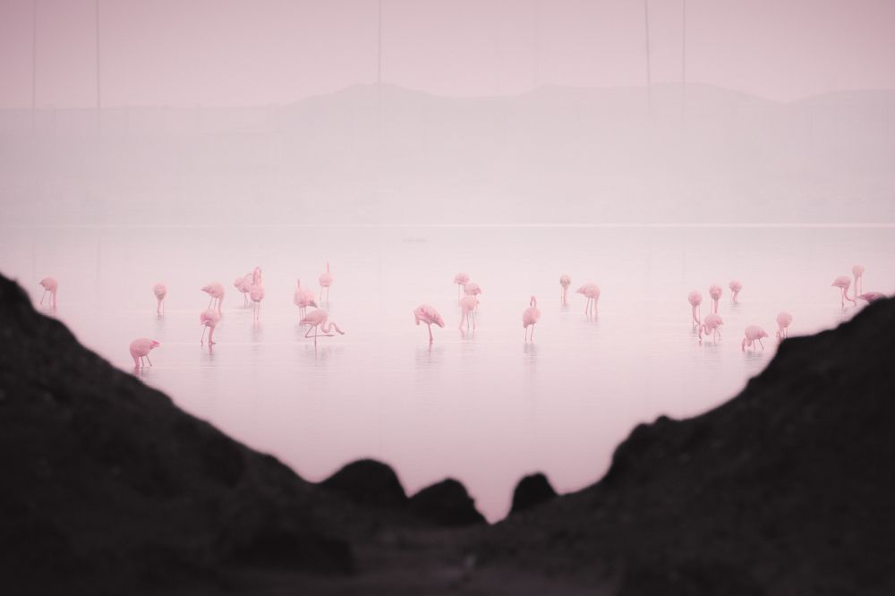 Photograph by Ahmed Fareed