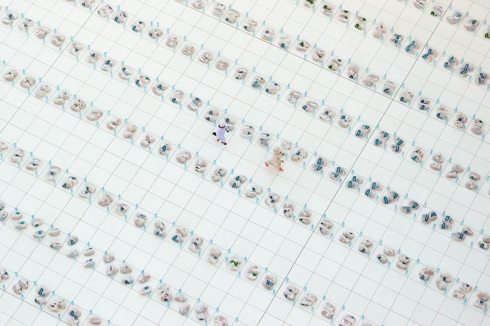 Photograph by Ahmed Fareed