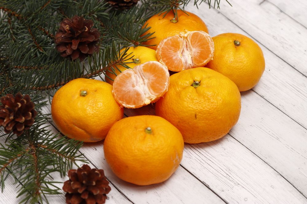 Photograph by Sergei Paramonov