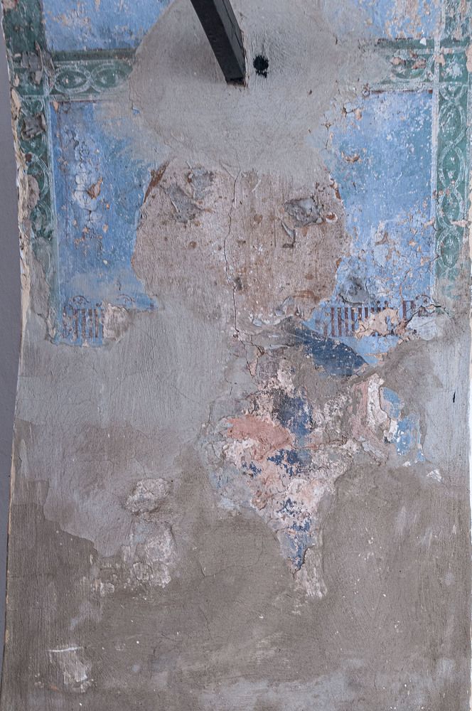 Photograph by Vladimir  Komarov