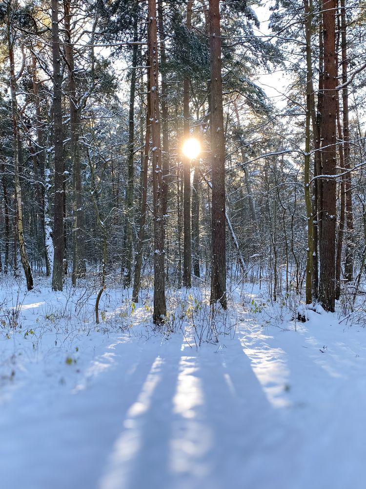 Photograph by Вера Романова