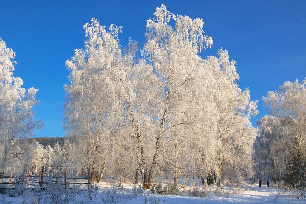 Photograph by Дмитрий Цыпляев