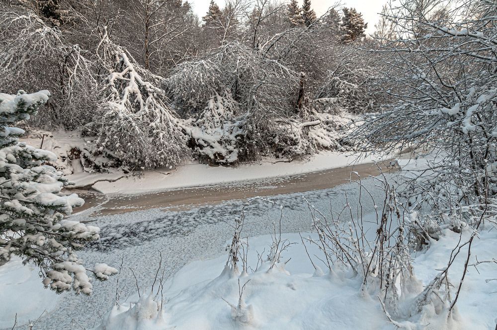 Photograph by Vladimir  Komarov