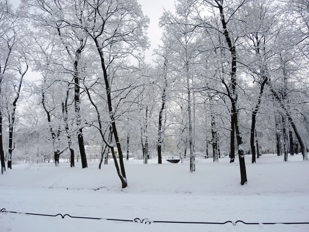 Зима в Таврическом саду