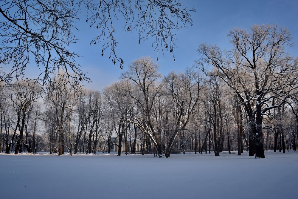 Зима в Михайловском саду
