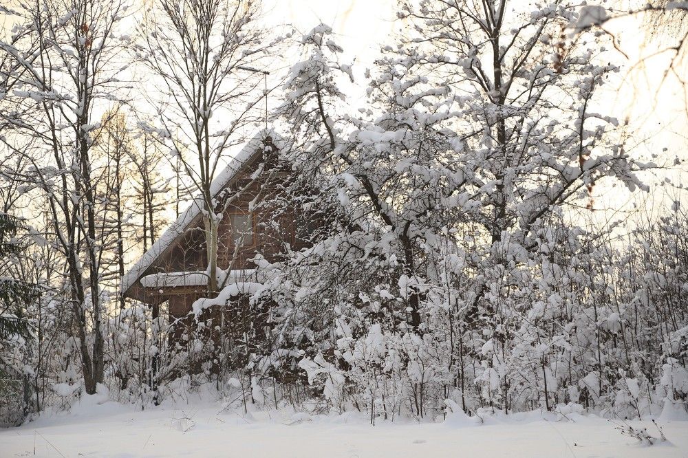 Photograph by Лада Денисова