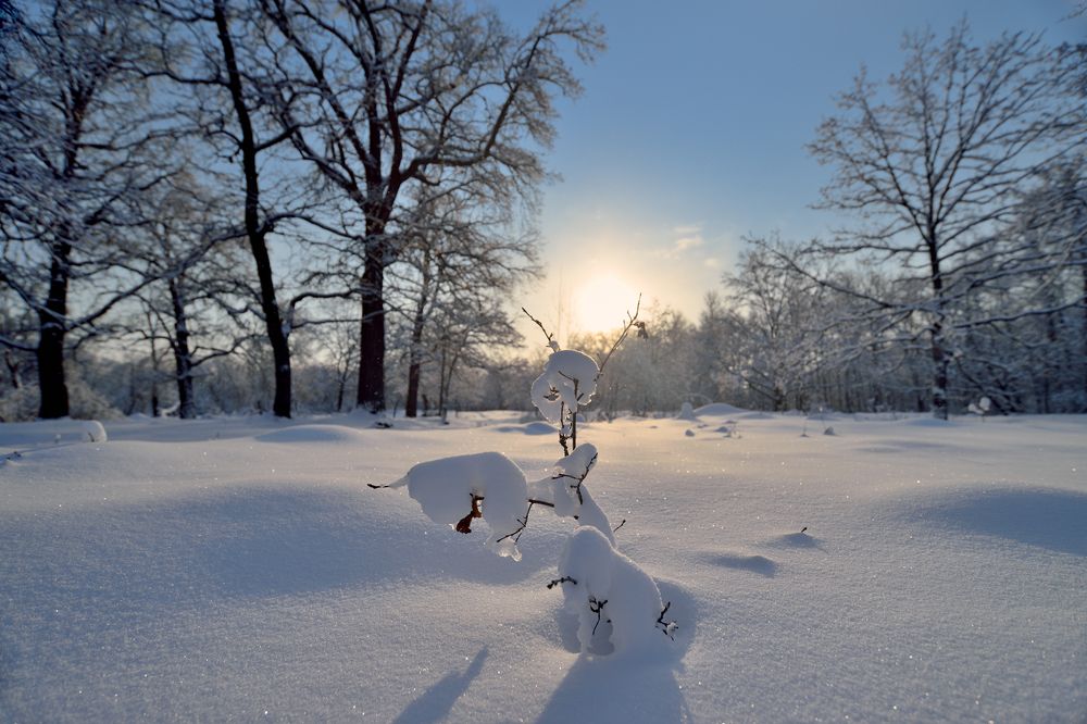 Photograph by Михаил Егоров