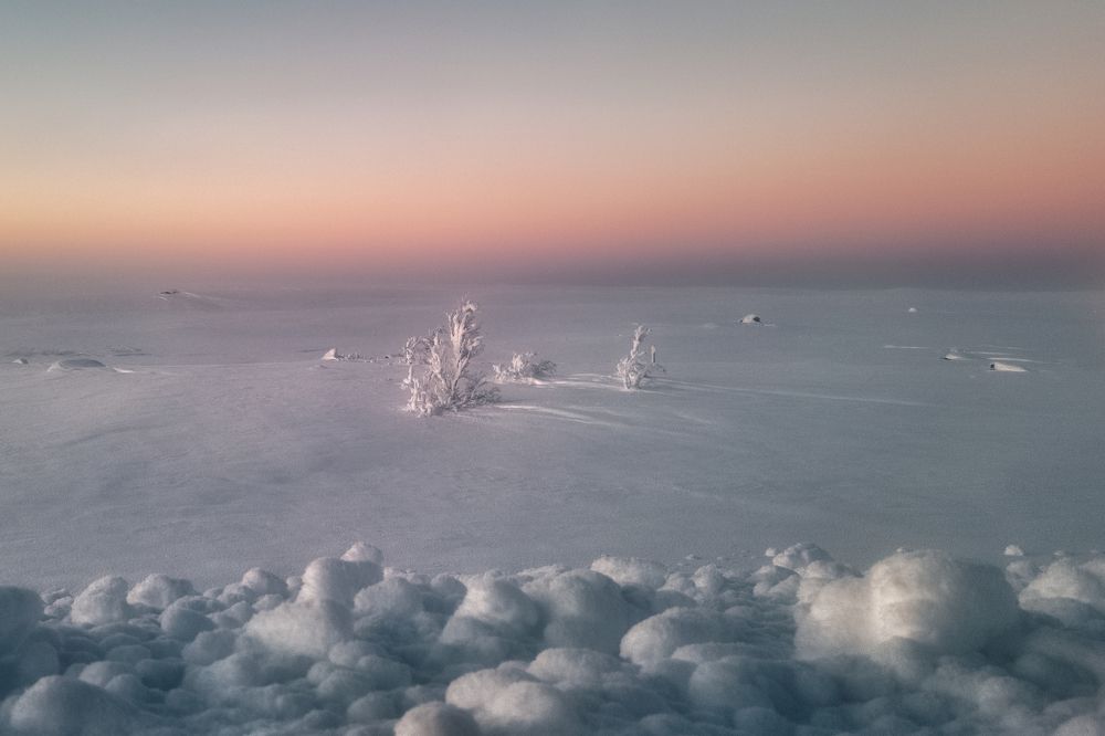 Photograph by Полякова Наталия