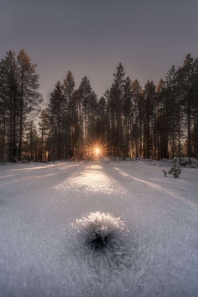 Photograph by Полякова Наталия