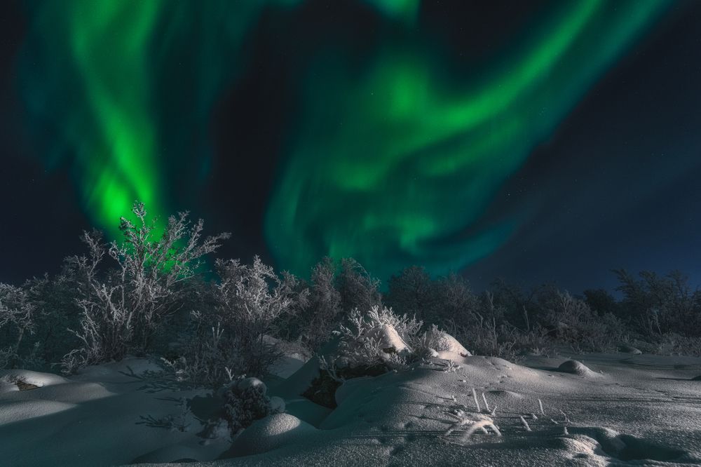 Photograph by Полякова Наталия