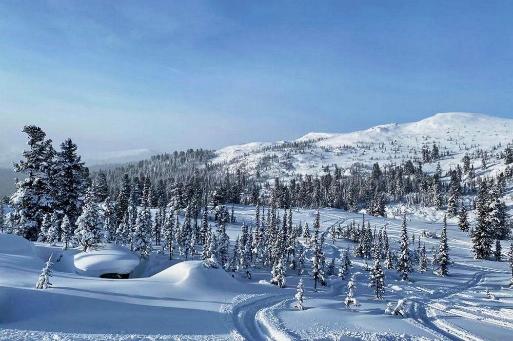 Photograph by Galina Leskova